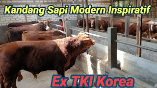 Inilah Kandang Sapi Mewah Dengan Fasilitas Komplit Milik Mantan TKI Korea