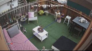 Line Crossing Detection Video Analytic on NVR-8580 with 4K Security Cameras