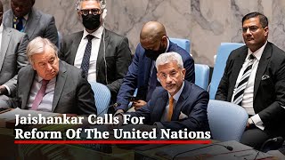 India's Powerful Reply As Pakistan Raises Kashmir At UN, Other Top Stories