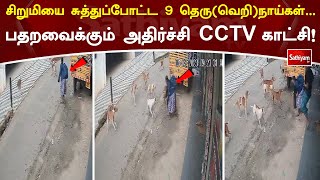 சிறுமியை சுத்துப்போட்ட 9 தெரு(வெறி)நாய்கள்...  CCTV காட்சி #dogs #sathiyamTV #sathiyamlivenews