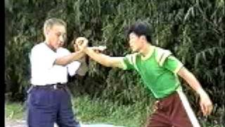 Tai Chi Master Fu Wing-fei: Applications