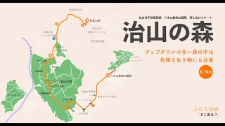 トレイルランニングを楽しむ人が多い治山の森へ地下鉄の駅から走るコースを紹介しています＃治山の森＃トレイルランニング＃旅ラン