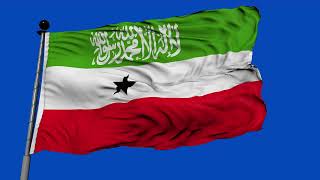 🚩Somaliland Flag Waving  | GREEN SCREEN \u0026 CHROMA MATTE🚩