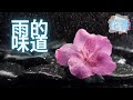 《 雨的味道 》=== ✒️創意寫作 | 抒情散文 | 經典作品 | 情感美文 | 詩詞 | 情感 | 短文 | 日记