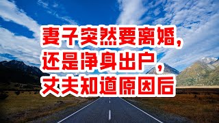 妻子突然要离婚，还是净身出户，丈夫知道原因后 - 情感故事 2023