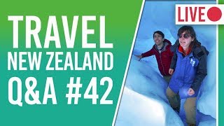 NZ Travel Questions - Best Penguins Tours + Things To Do in Glenorchy