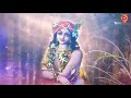 Meri Radha Raman gairdhari| Full devotional song|Full Bhajan|#WhatsAppvidZ