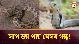 সাপ তাড়াবেন যেভাবে | Keep Away From Snake | Tips | Save Life | Channel 24