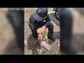 Missing Sumter K-9 officer found safe