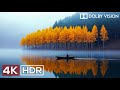 Mother Nature's Finest Moments in 4K HDR 60 FPS Dolby Vision