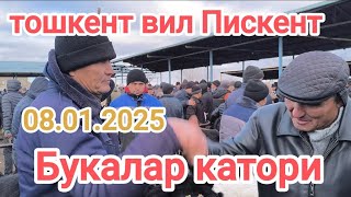 тошкент вил Пискент мол бозори букалар катори 08.01.2025