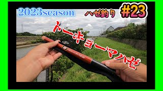 2023年【ハゼ釣り#23】7月15日‗新しい竿で釣ってみた！トーキョーマハゼ3.6☆‗釣果情報