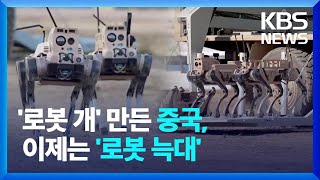 중국, 로봇개 이어 ‘로봇늑대’ 등장…무인 군사력 어디까지? / KBS 2024.11.11.