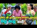 මගේ මල් පැල කඩේ | Piumi srinayaka Flower garden | 2024 | Mal pala wagawa | විසිතුරු මල්