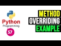 Python Programming Tutorial - Method Overriding