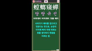 [상식 사자성어 485] 당랑규선 螳螂窺蟬