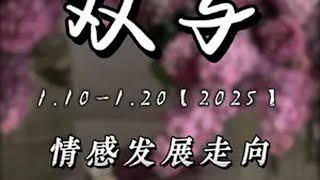 双子座25年1月中旬情感发展“接触到痛苦的深度，我们才会得到解脱”双子座 情感 塔罗情感 感情 @DOU+小助手