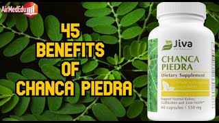 45 Benefits of Chanca Piedra