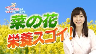 【第69回小話】菜の花篇_菜の花の意外な効果