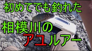 【鮎ルアー】遂に夏が来た！！初めてでも釣れた相模川の鮎【キャスティングアユ】