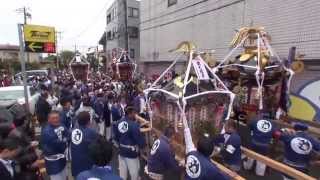 第５８回　大岡越前祭　神輿パレード　渡り御です　2013年。