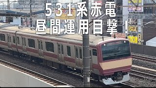 ４Ｋ動画　531系赤電附属編成、上野東京ラインにふたたび、常磐線