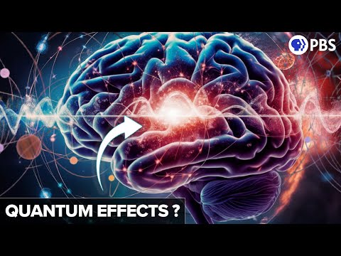 Is our brain a quantum computer?
