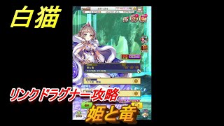 白猫　リンクドラグナー攻略　姫と竜　９周年EP２　ガチャキャラ　エクセリア（ドラグナー）ゲオルグ（ドラグナー）エクセリア（鎖剣）　＃２０　【白猫プロジェクト】