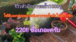 รีวิวฝักบัวรดน้ำ1000รูราคาถูกซื้อมาใช้ดีต้องบอกต่อเพื่อต้นไม้ที่เรารัก