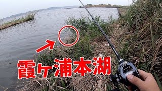 2019 10月　秋の霞ヶ浦本湖　バス釣り