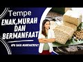 Manfaat tempe yang harus kamu ketahui #tempe #kesehatan #youtube