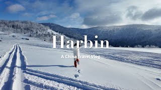 【4K】哈尔滨Vlog｜Part 1｜自由行｜雪谷❄️｜Self-guided Independent Tour to Harbin, China