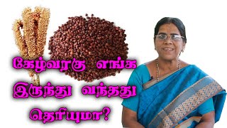 கேழ்வரகு எங்க இருந்து வந்தது தெரியுமா? | REACH ONE | SHARADHA #health