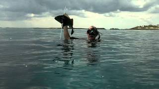 Spearfishing with Austin @ Lubbers' Landing