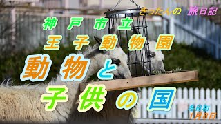 きったんの旅日記　王子動物園　動物と子供の国