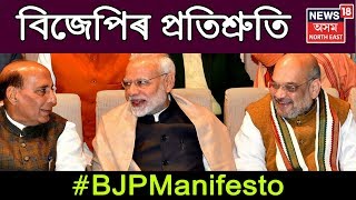 BJP Manifesto 2019, New Hopes To Public