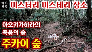 주카이숲 - 일본 아오키가하라 죽음의숲 [미스터리/미스테리]