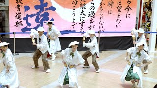 2025／1／１３   よさこいライブ  蜷川乱舞桜 ファボーレ