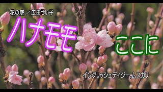 「ハナモモ ここに」花の庭／広田せい子