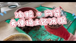 陶粒 + 网袋 方便换土还防漏