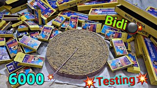 6000 Pani Wala Bumb Testing 2021 | पानी वाला बम | Bidi Bomb Testing 2021 | All New Cracker Price 🧨💥