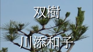 朗読　九十二歳の新人作家　川添和子　双樹