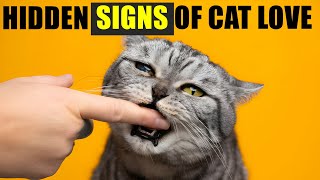 12 Secret Signs Your Cat Loves You But You Don't know! 🔥