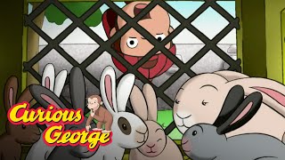 George's Easter Bunny Hunt  🐵 Curious George 🐵Kids Cartoon 🐵 Kids Movies 🐵s for
