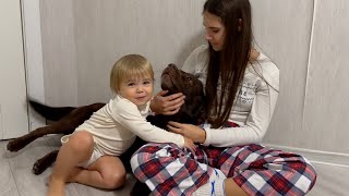 Adorable Fight! Baby and Big Sissy Argue Over Who the Dog Belongs To!