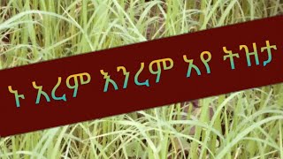 ኑ አረም እንረም  አይ ትዝታ