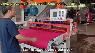 Hoyun single group multi-blade continuous cutting machine, Skirting line cutting demonstration.