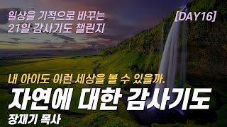 (따라하는 기도시리즈) 감사16 자연, 환경, 생태, 기후에 대한 감사, 자연을 주셔서 감사합니다 / 장재기 목사 / 여러분의 감사기도를 댓글란에 남겨주세요.