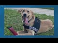 K-9 officer missing in Sumter County; police ask for help finding him