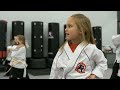 tiger rock martial arts franchise martial arts academy